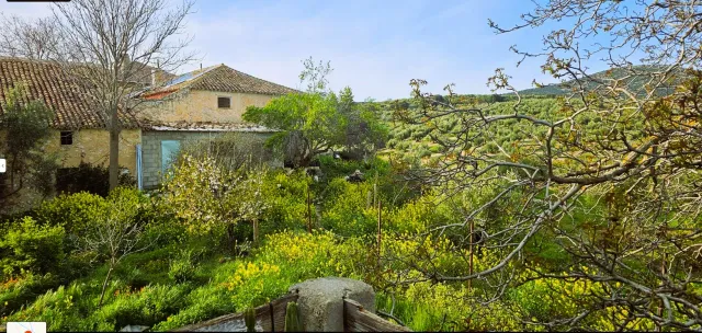 Cortijo El Manzano rodeado de olivos y sierra