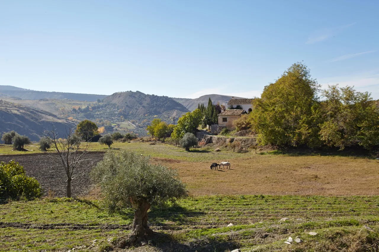Finca sostenible El Manzano con energía solar y pastoreo libre